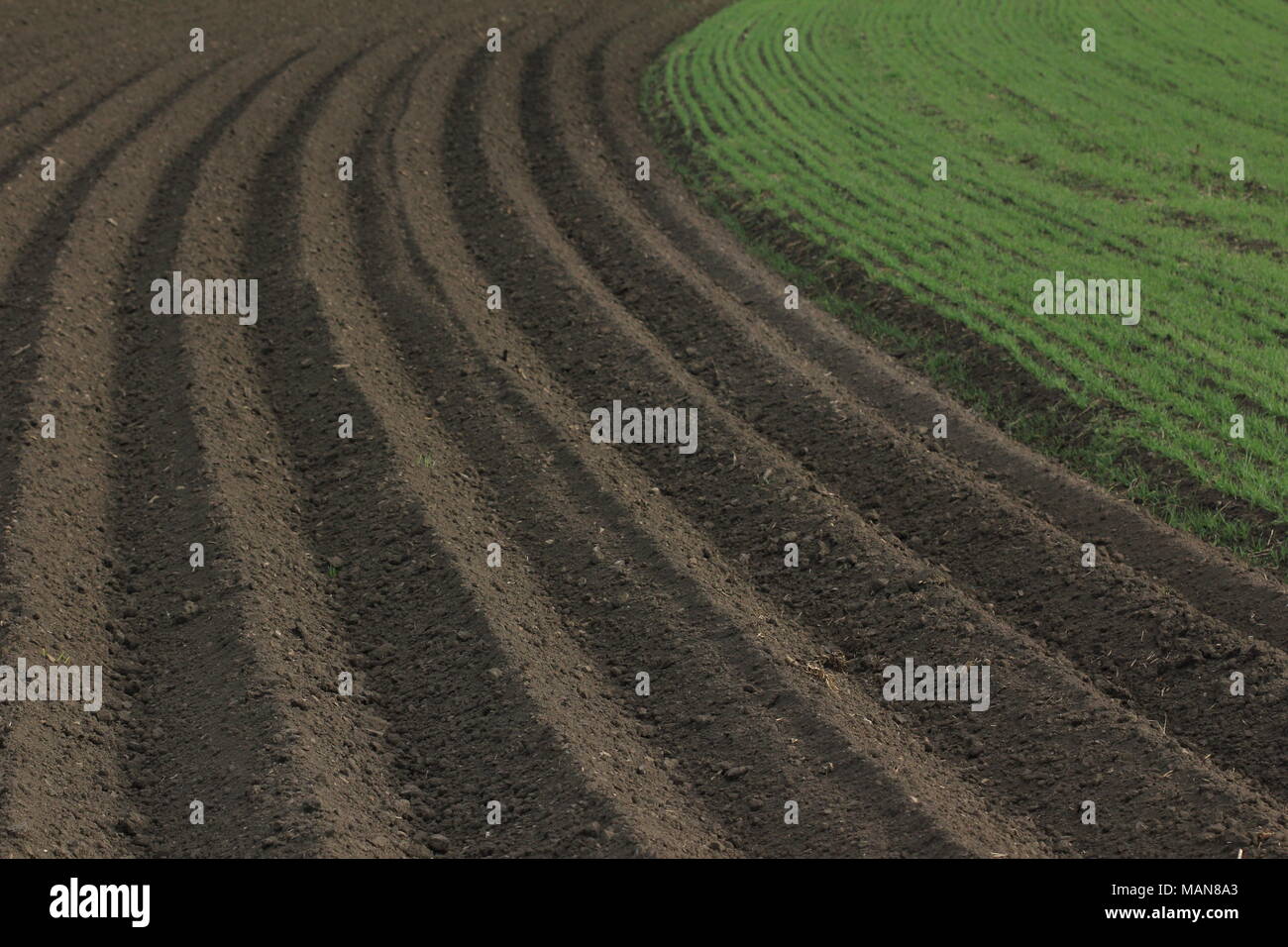 Agricoltura: fresco campo arato Foto Stock