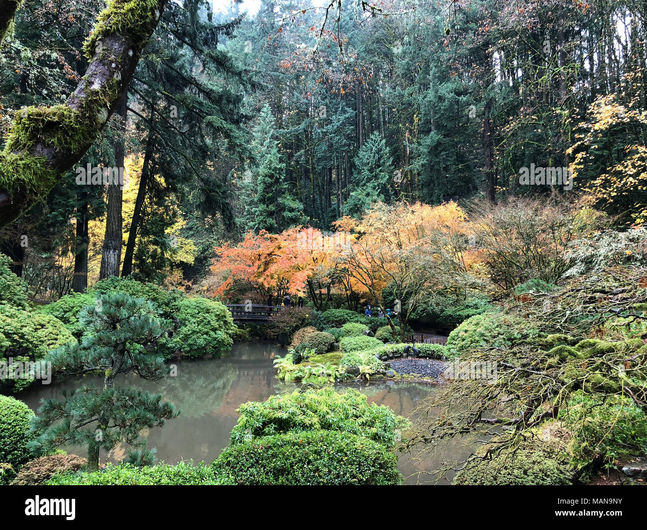 Giardino giapponese Portland Oregon Foto Stock