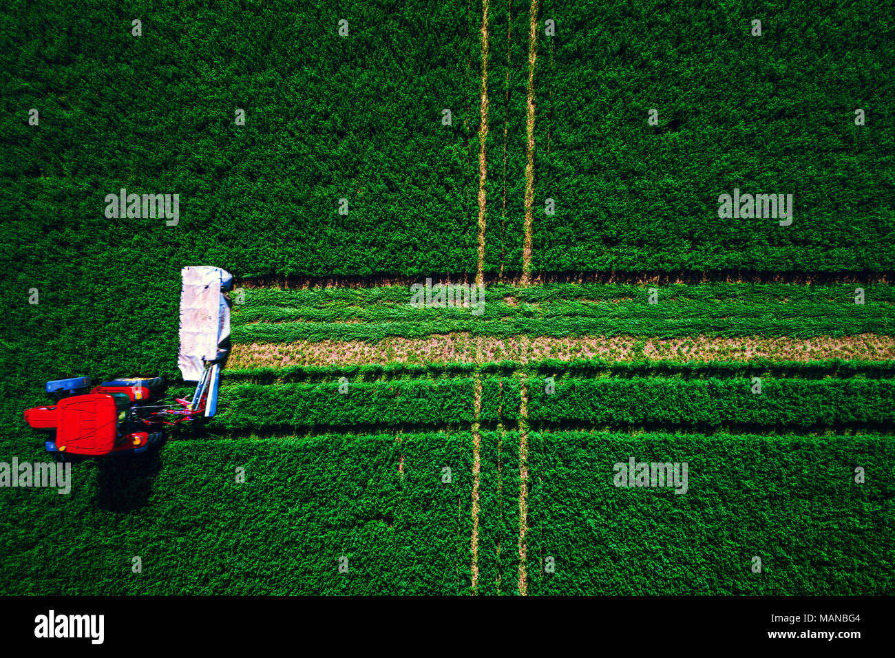 Il trattore rasaerba campo verde, vista aerea. Foto Stock