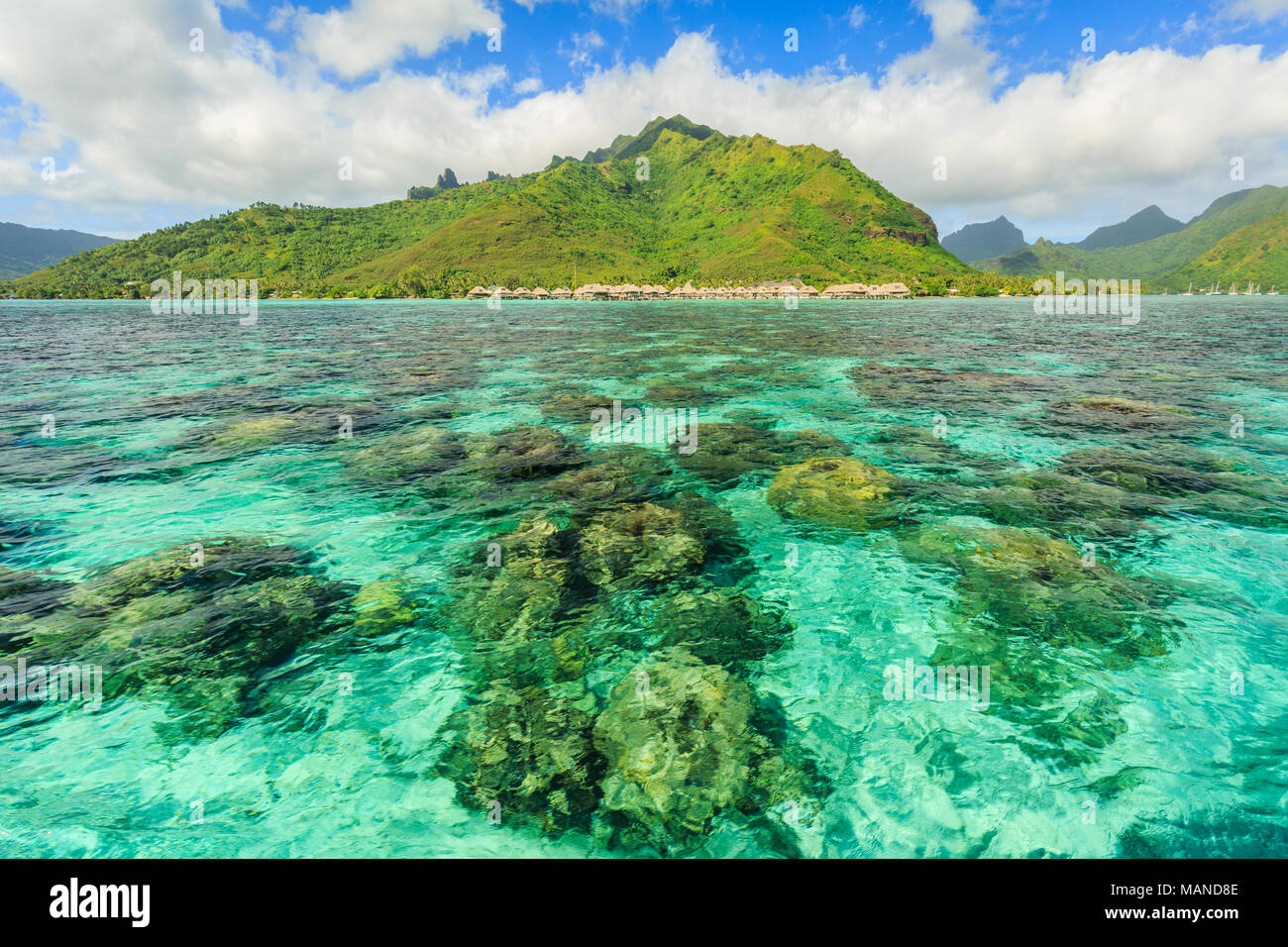 Bellissimo mare con mountain resort e background in Moorae isola a Tahiti, Papeete Polinesia Francese Foto Stock
