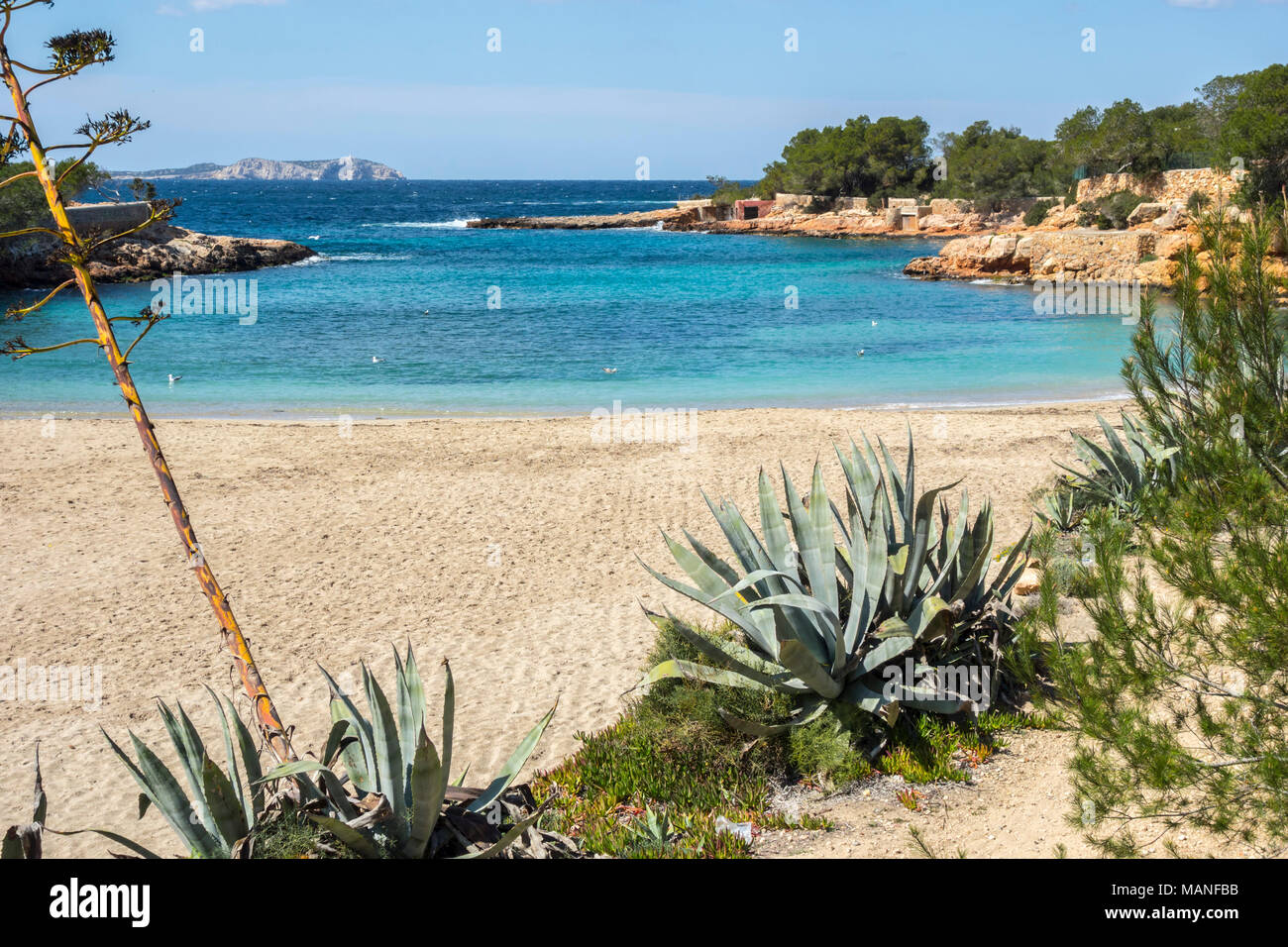 Mediterraneo Spiaggia Cala Gracio Città Di Sant Antoni