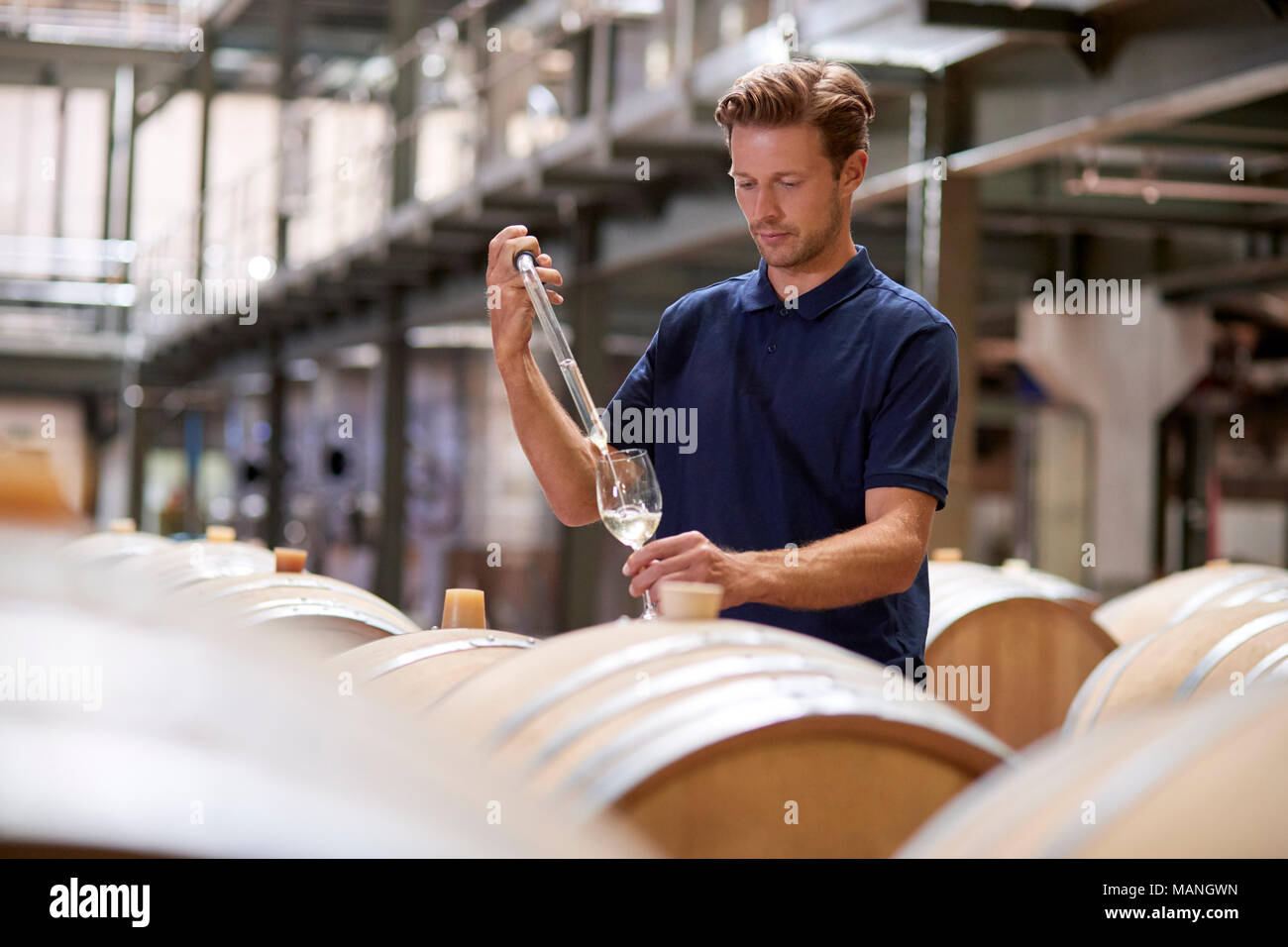 Giovane uomo vino di test in una fabbrica del vino magazzino Foto Stock
