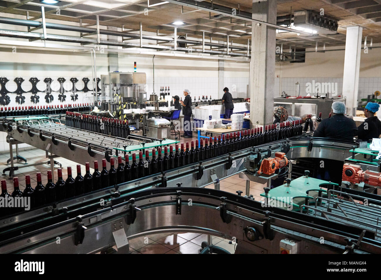 I colleghi che lavorano in linea di imbottigliamento presso una fabbrica del vino Foto Stock