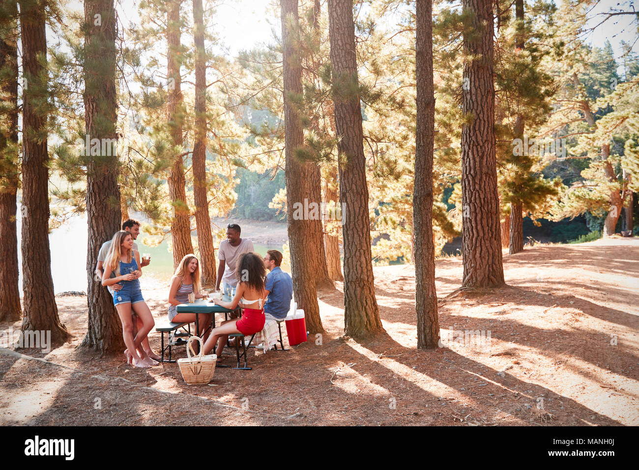 Un gruppo di giovani amici adulti appendere fuori da un lago Foto Stock