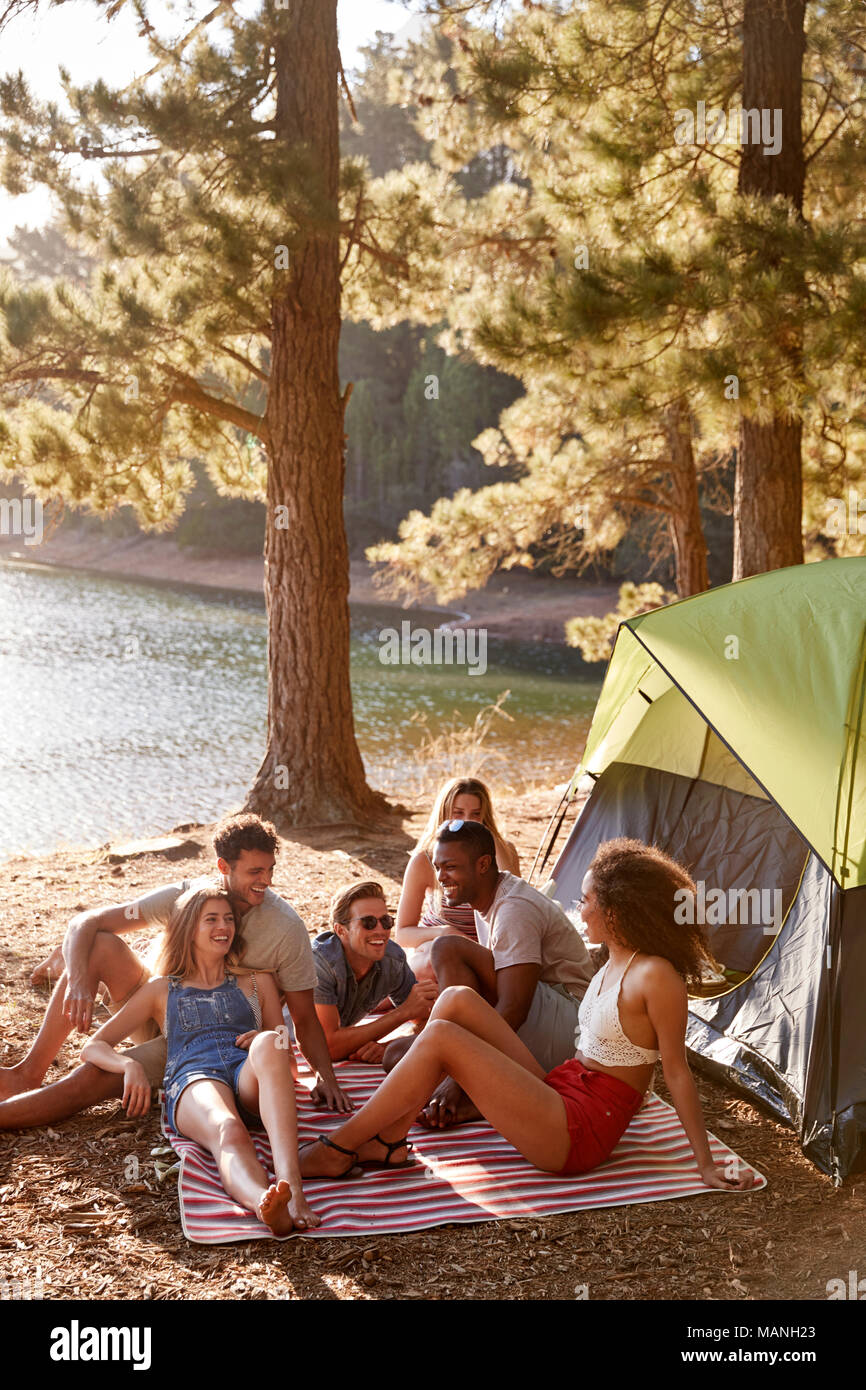 Amici relax su una coperta da un lago, verticale Foto Stock