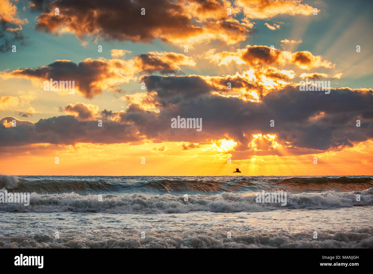 La mattina presto tramonto sul mare e un volo di uccelli, sunrise shot Foto Stock