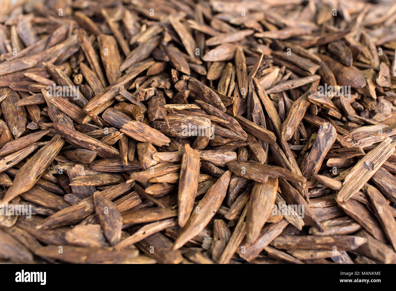Messa a fuoco selettiva, bastoncini di legno di agar o di legno di agar sfondo l'Incenso chip utilizzati da bruciare incenso & profumi di olio essenziale come Oud o Bakhoo Foto Stock