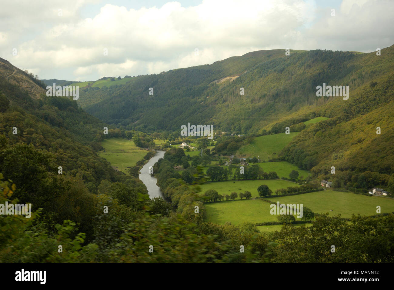 Rheidol Valley Railway, vista dal treno vicino Troedrhiwsebon Foto Stock