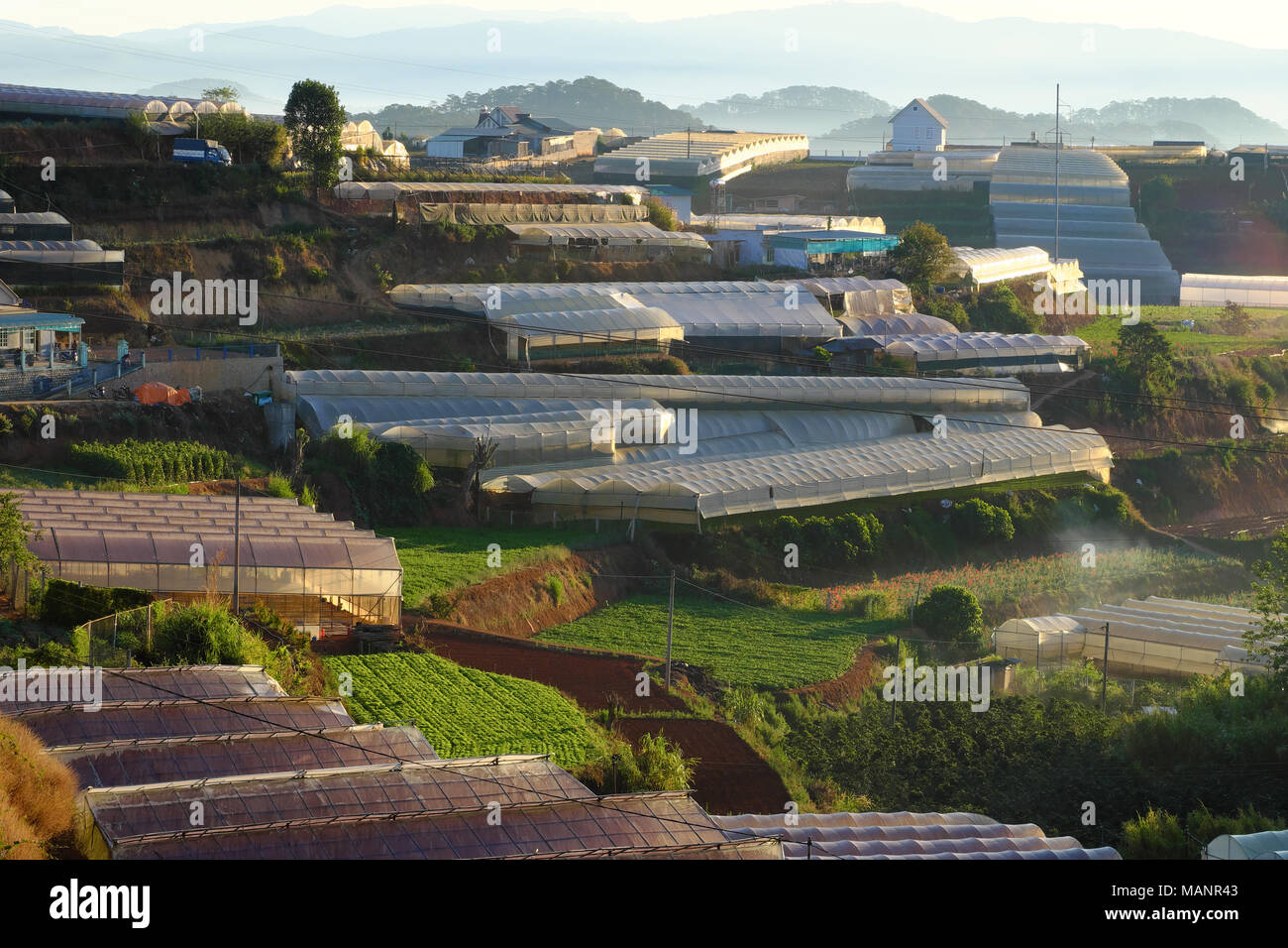 Zona agricola a Da Lat campagna, Viet Nam, colline e montagne del terreno, agricoltore rendere campo terrazzati per piantare ortaggi, fiori in serra Foto Stock