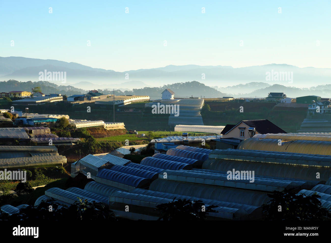 Grande area agricola a Da Lat campagna, serre in plastica per la produzione di ortaggi di sicurezza, fiore, serra nocivi per l'ambiente Foto Stock