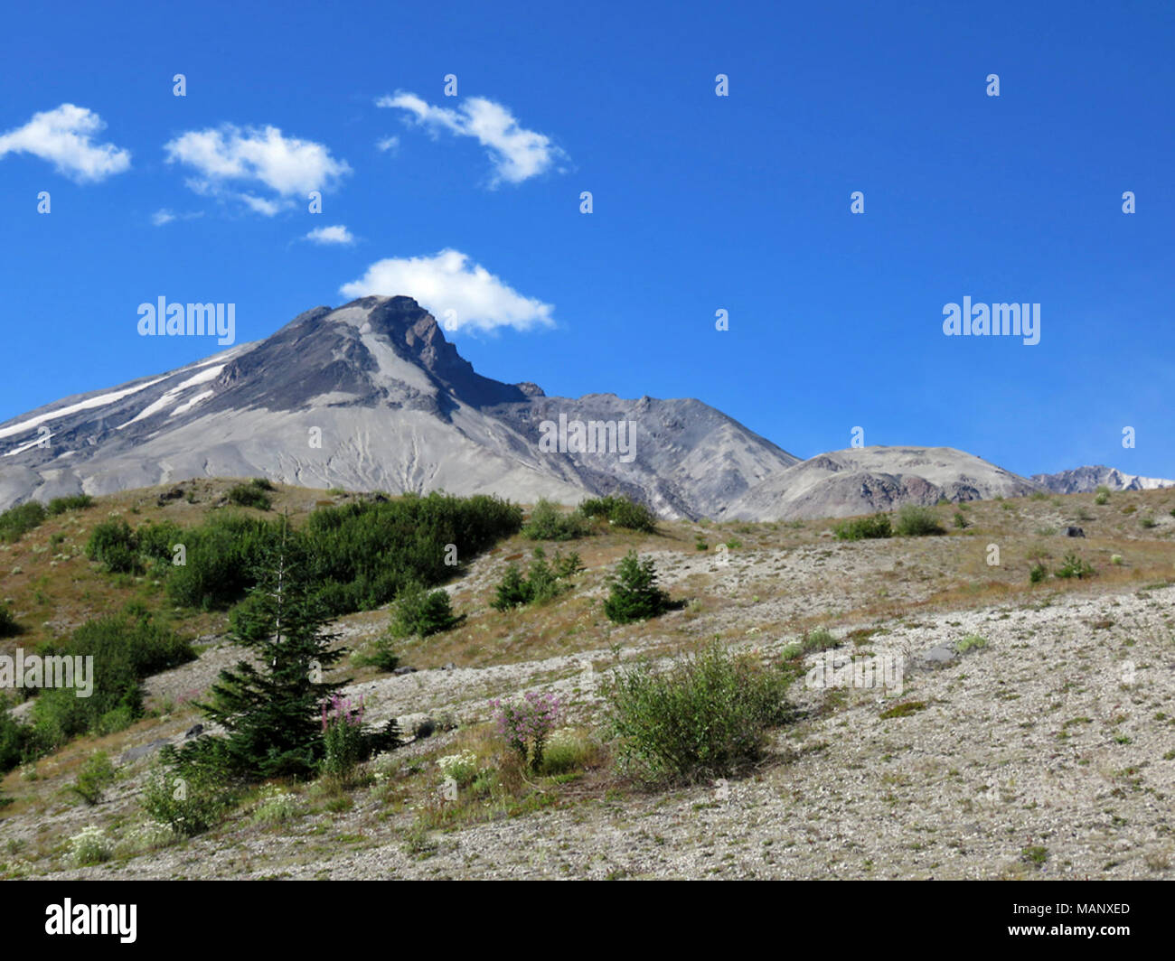 Truman Loowit Trail a Mt St Helens NM in Foto Stock