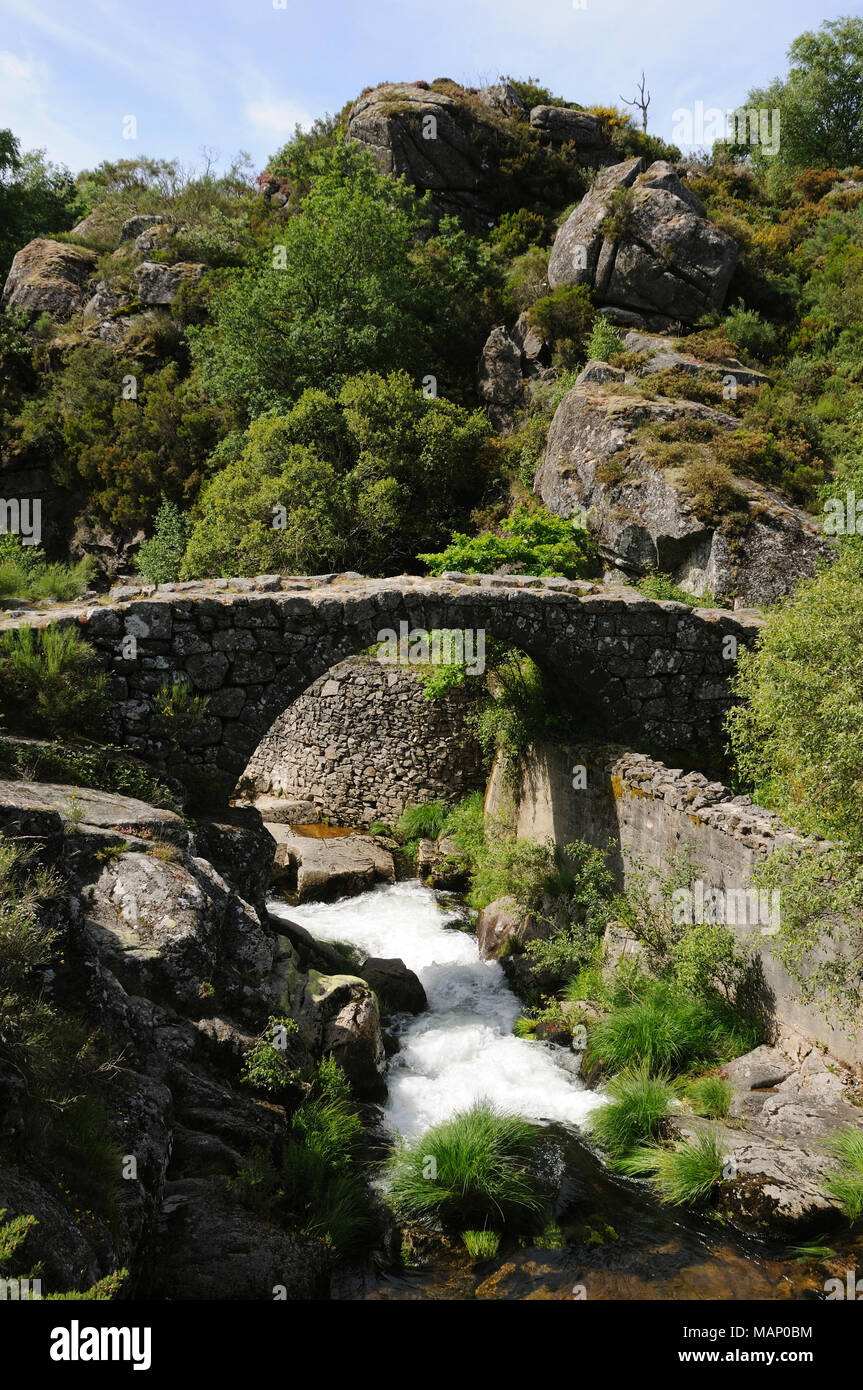 Laboreiro fiume. Castro Laboreiro. Panda Geres National Park. Portogallo Foto Stock