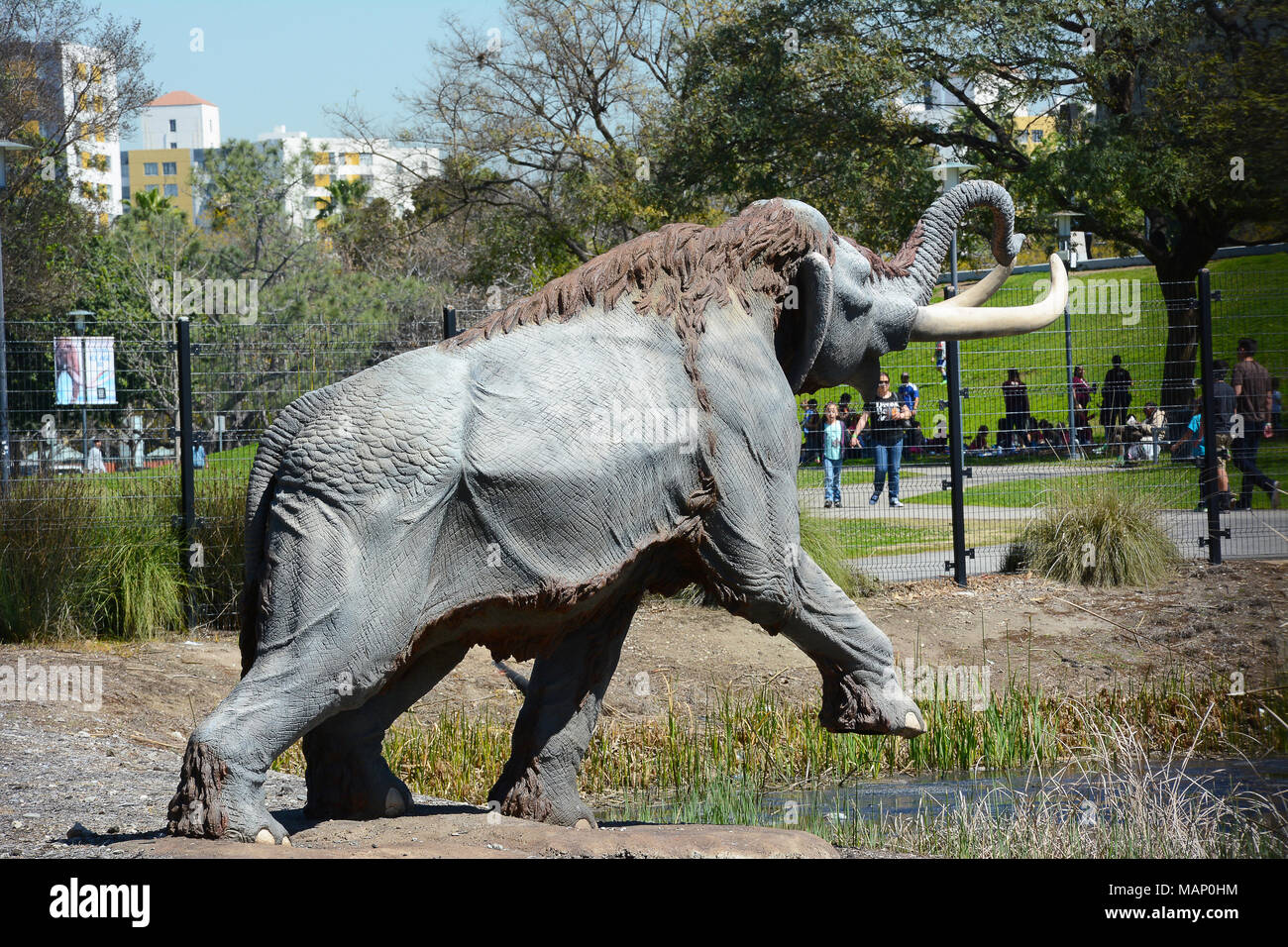 LOS ANGELES - MARZO 28, 2018: il lago di pit a La Brea Tar Pits. Pleistocene mammoth statue raffigurano come animali divenne intrappolato nel catrame. Foto Stock