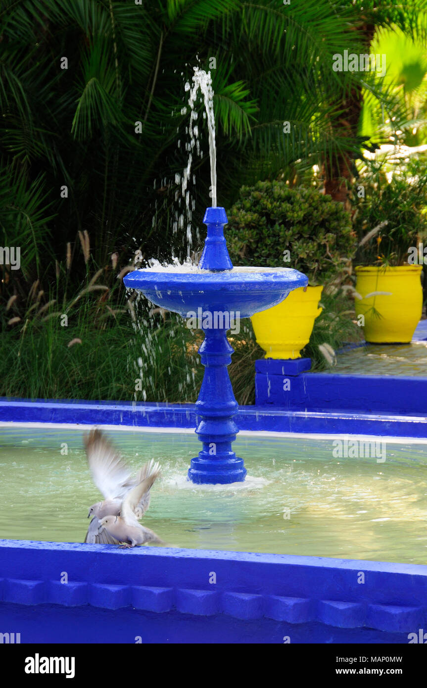 Fontana nel Giardino Majorelle. Marrakech, Marocco Foto Stock