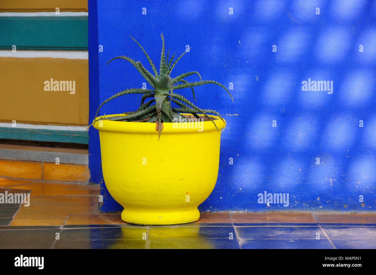 Il blu e il giallo il contrasto trovata nel Giardino Majorelle. Marrakech, Marocco Foto Stock