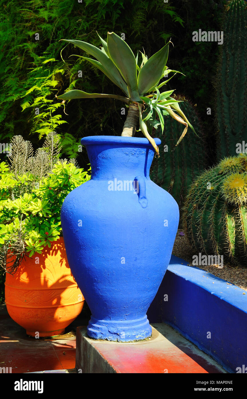 Il blu e il giallo il contrasto trovata nel Giardino Majorelle. Marrakech, Marocco Foto Stock