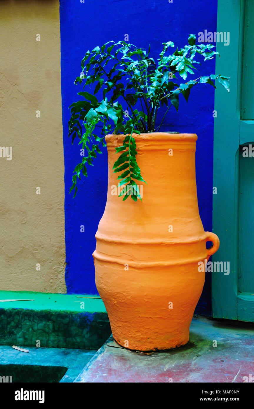 Giardino Majorelle. Marrakech, Marocco Foto Stock