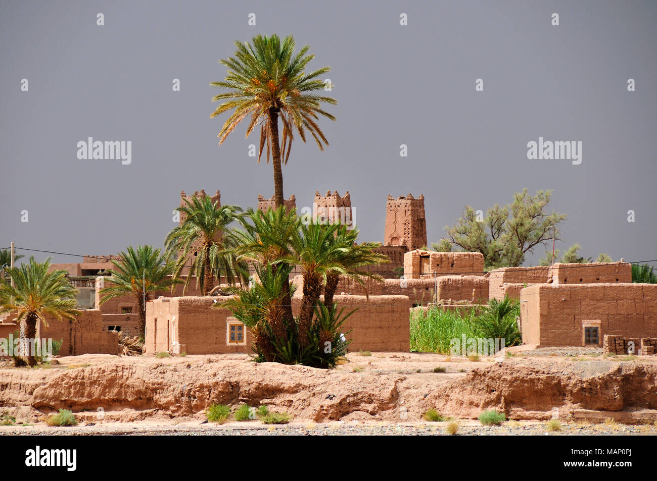 Il Kasbah oasi di Skoura. Il Marocco Foto Stock