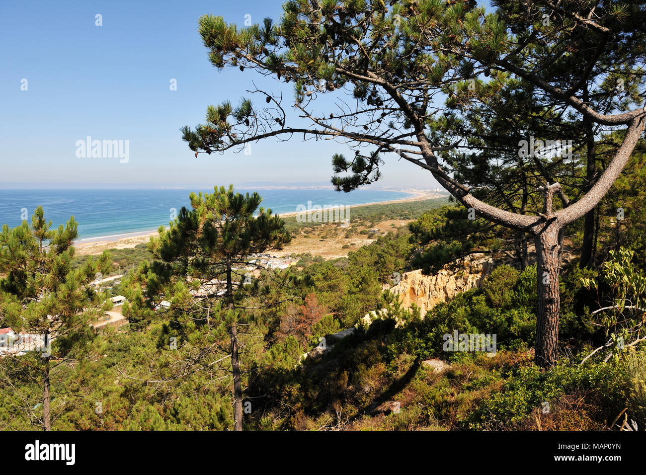 Costa da Caparica falesie fossili del paesaggio protetto. Portogallo Foto Stock
