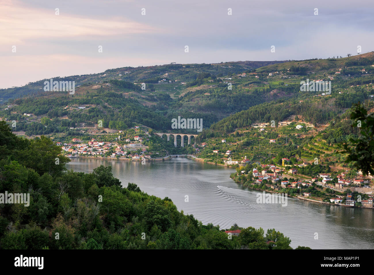 Il fiume Douro a Porto Manso, Cinfães do Douro. Portogallo Foto Stock