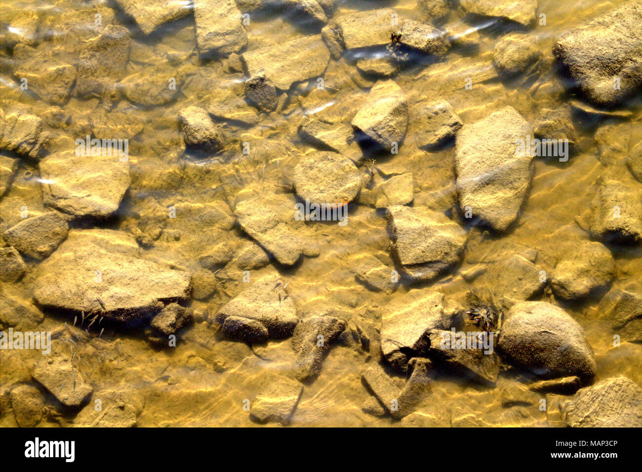 Le pietre in corrispondenza del fondo di un sale acqua creek letto durante il Rising Tide visibile attraverso l'acqua chiara. Foto Stock