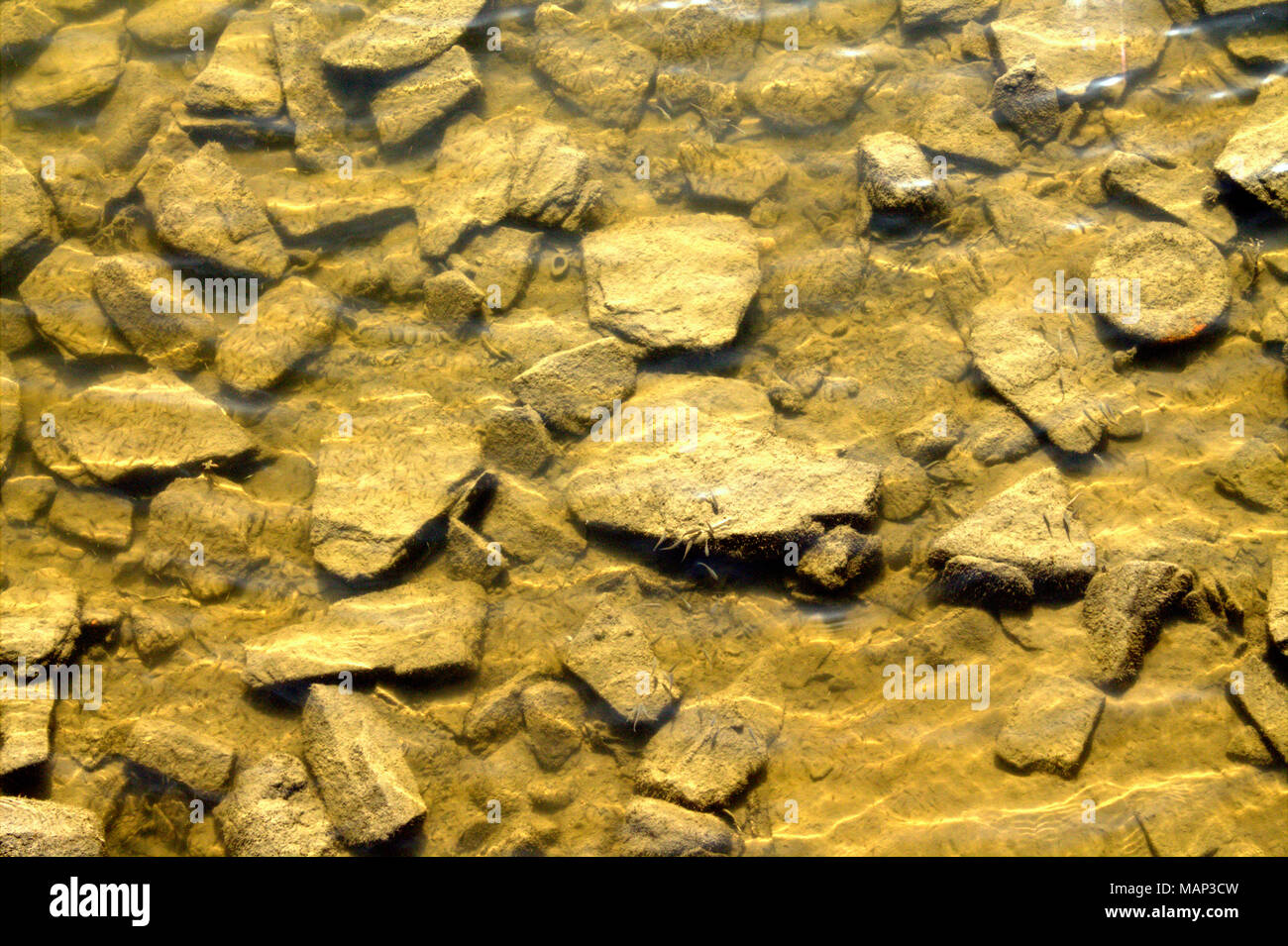 Le pietre in corrispondenza del fondo di un sale acqua creek letto durante il Rising Tide visibile attraverso l'acqua chiara. Foto Stock