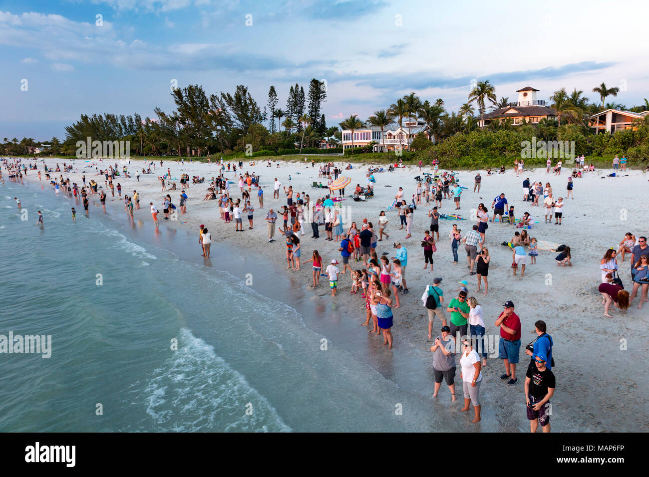 Guarda gli ultimi raggi del tramonto, Naples Beach, Naples, Florida, Stati Uniti d'America Foto Stock