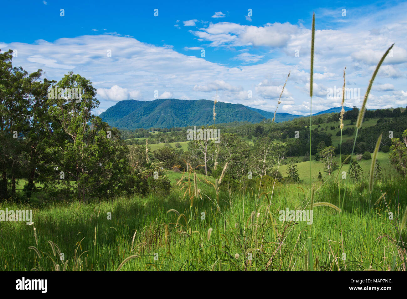 Paesaggio nell entroterra australiano in estate Foto Stock