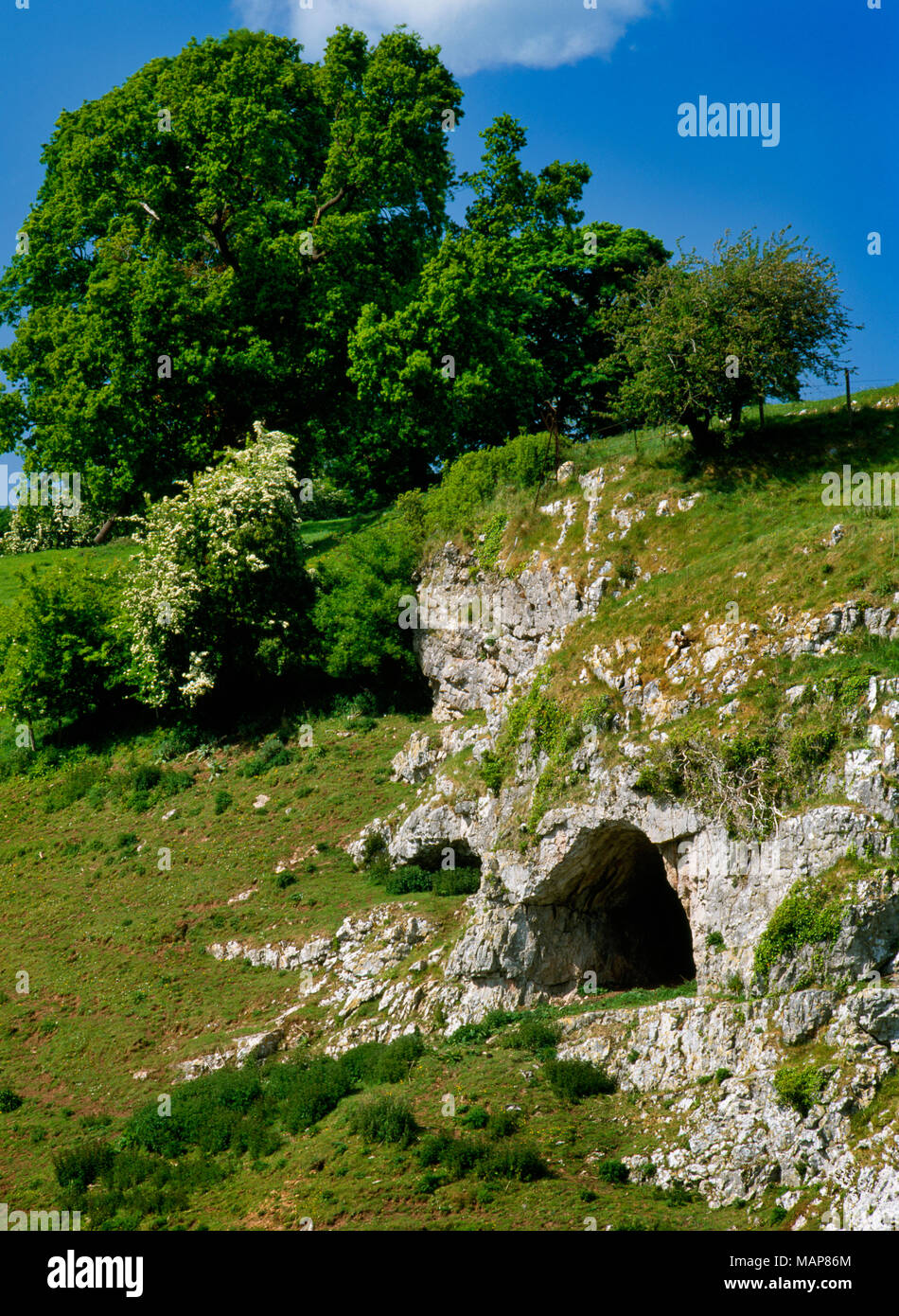 Ingresso a Ffynnon Beuno grotta in una rivolta a sud rupe calcarea sul lato e della Valle di Clwyd, Galles del Nord, Regno Unito: Paleolitico resti scoperto. Foto Stock
