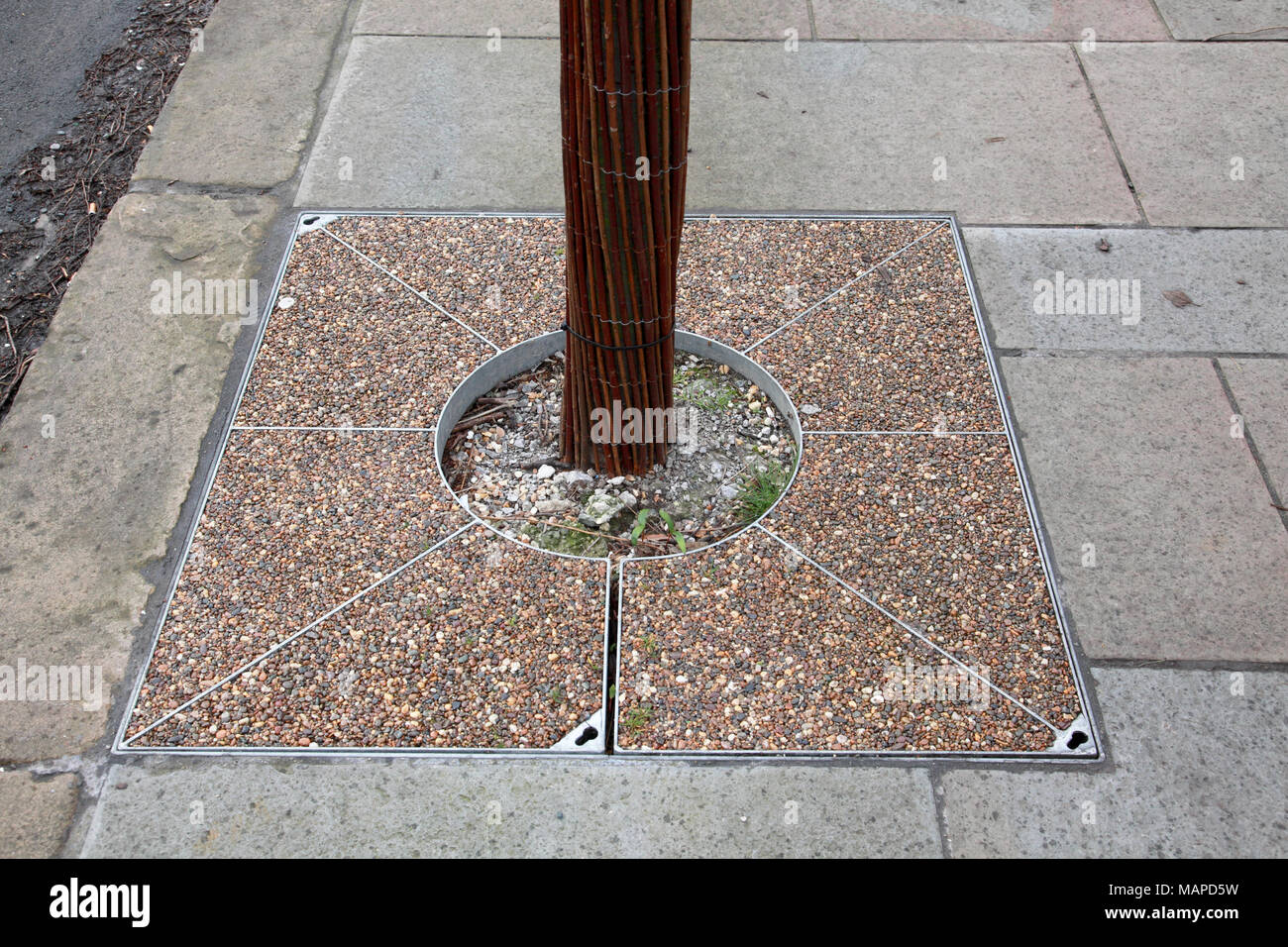 Un albero con un collare protettivo e una struttura porosa pit surround. La cornice esterna è di alta forza di legame di resina la ghiaia. Foto Stock