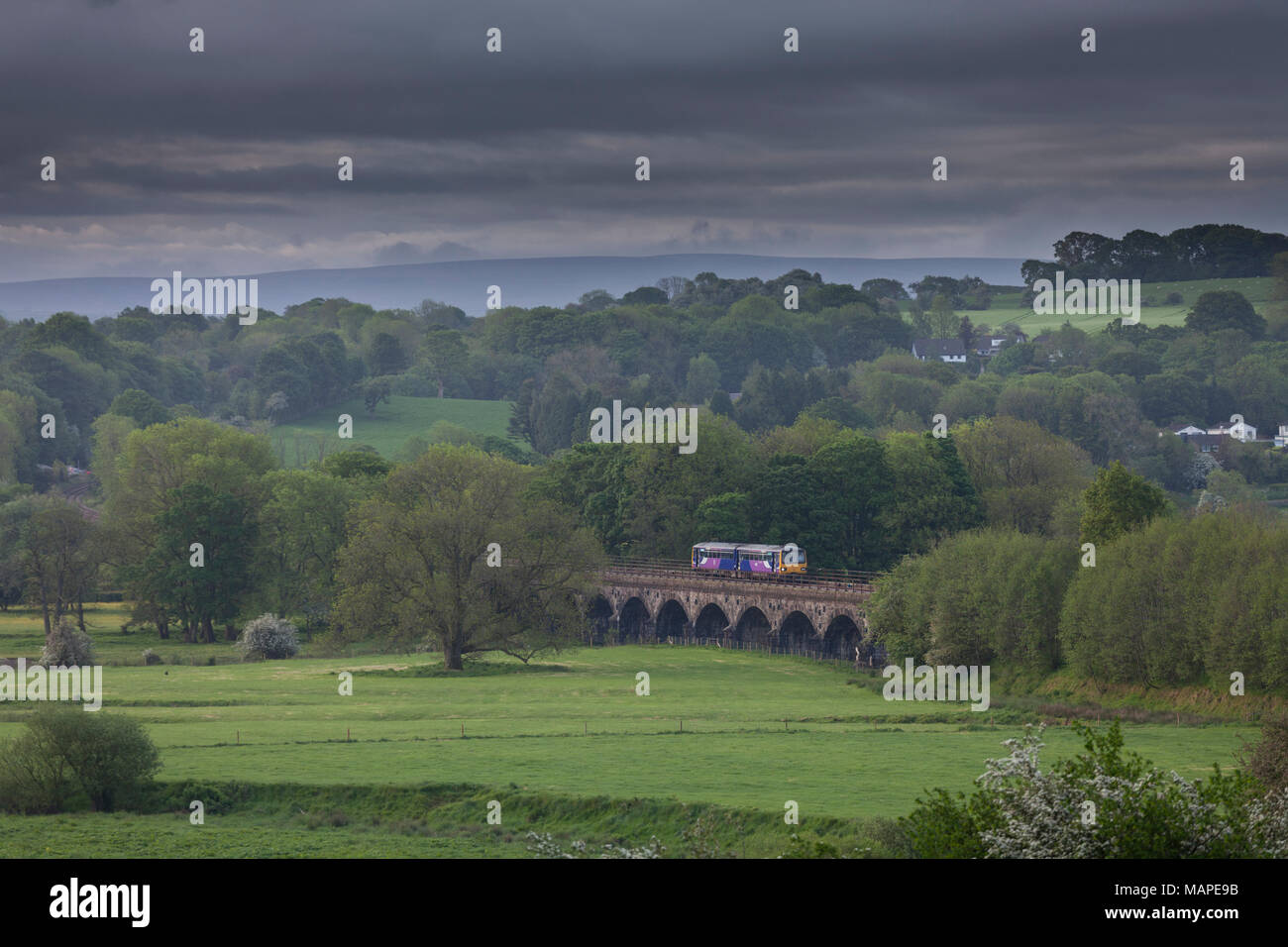 Una rampa settentrionale classe 144 pacer treno attraversa il viadotto a Arkholme (tra Carnforth & Wennington) con una mattina presto il treno Foto Stock