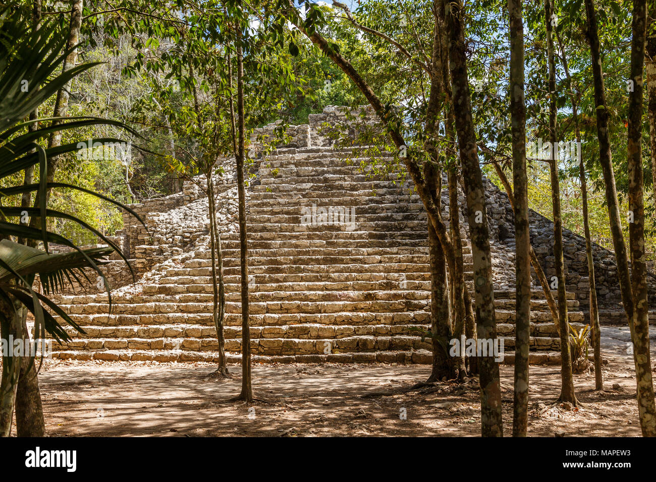 Piccola antica piramide di antica civiltà Maya città nascosta nella foresta, Coba sito archeologico, Coba, Yucatan, Messico Foto Stock