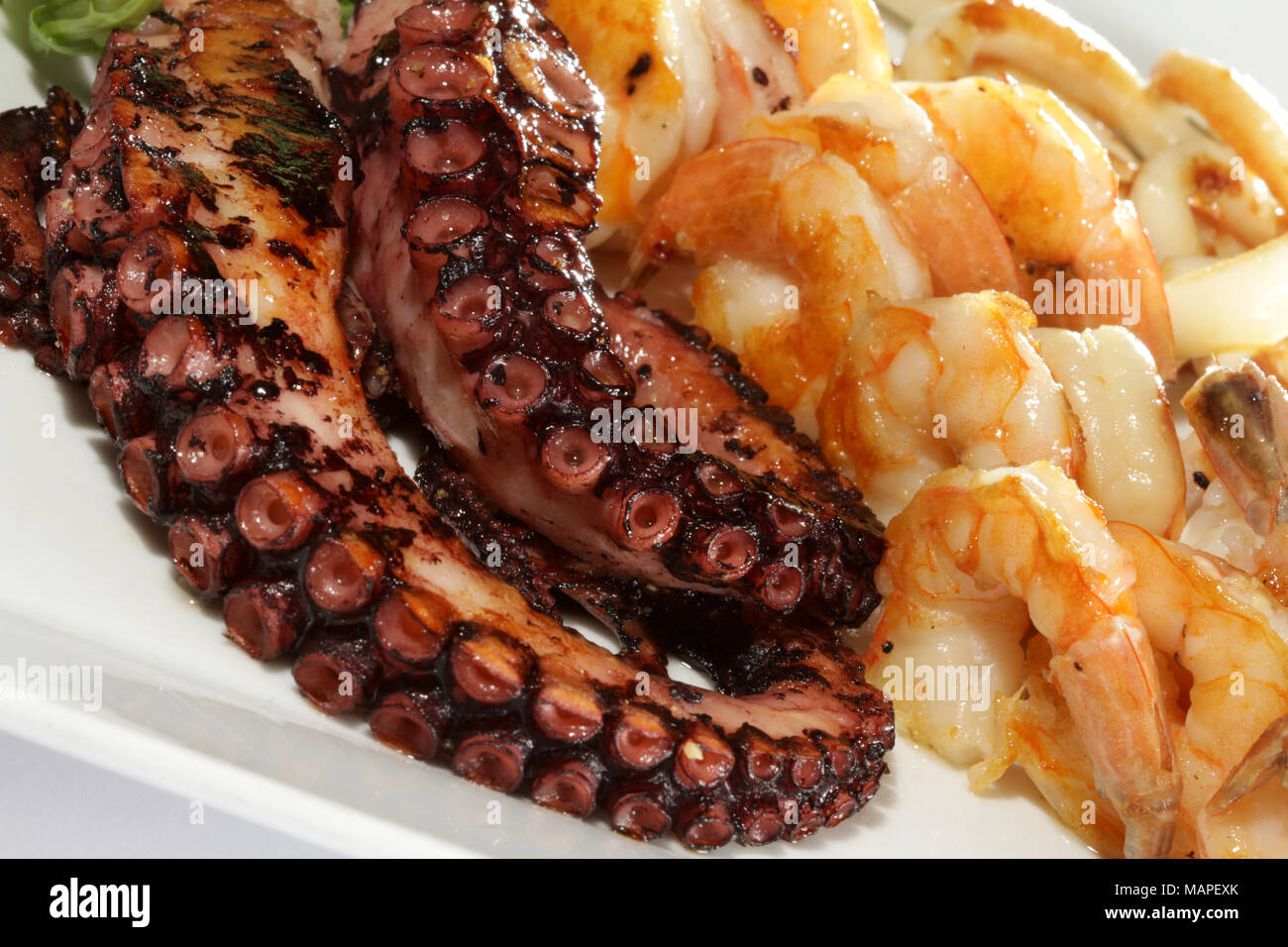 Chiudere l'insalata di mare con polpo e gamberetti Foto Stock