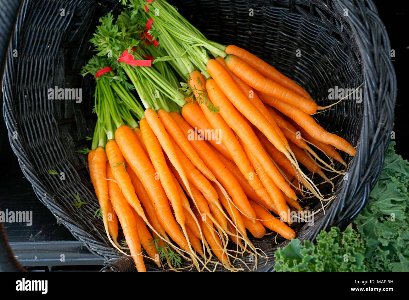 Cesto pieno di mazzi di carote fresche in vendita in un mercato degli agricoltori, Delta, British Columbia, Canada Foto Stock