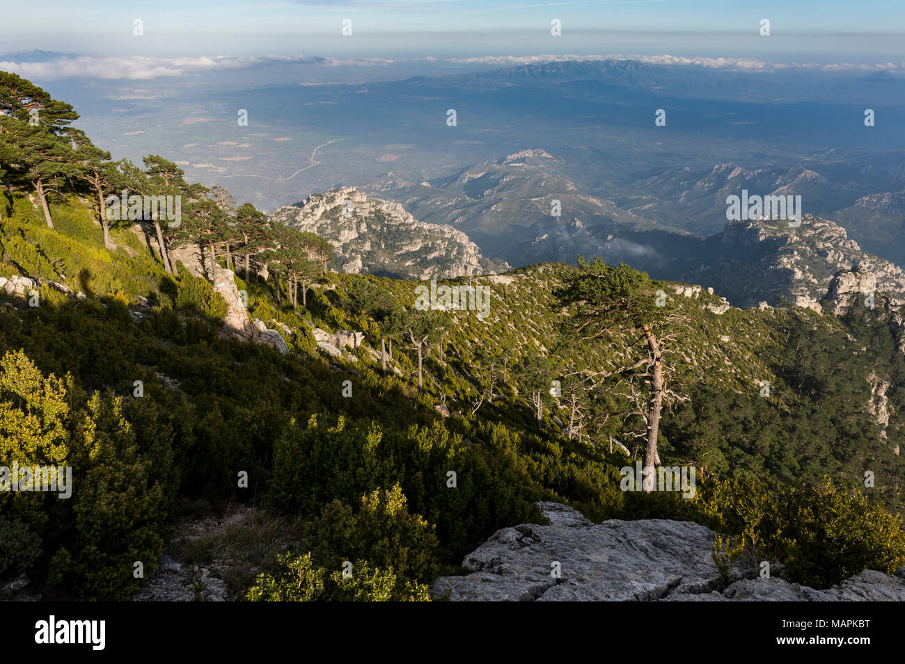 Elevato punto di vista su una parte superiore che mostra il selvaggio paesaggio di montagna e vegetazione di i Puertos de Beceite National Park, Spagna Foto Stock