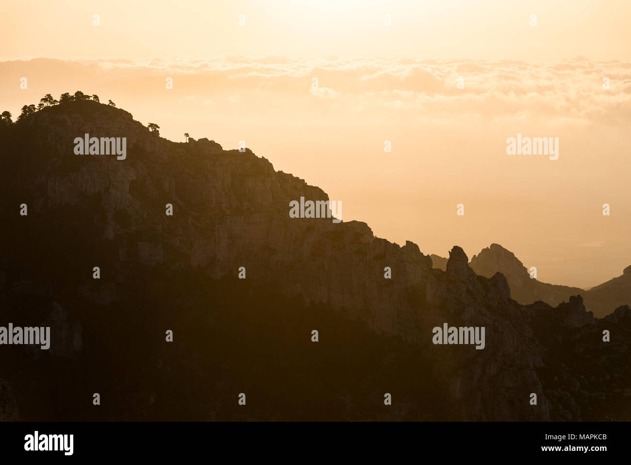 Silhouette di contrasto della curvatura treeline sulla cima di un colle ad alba con un bellissimo sfondo arancione mostra montagne nella nebbia mattutina presso i Puertos de Bec Foto Stock