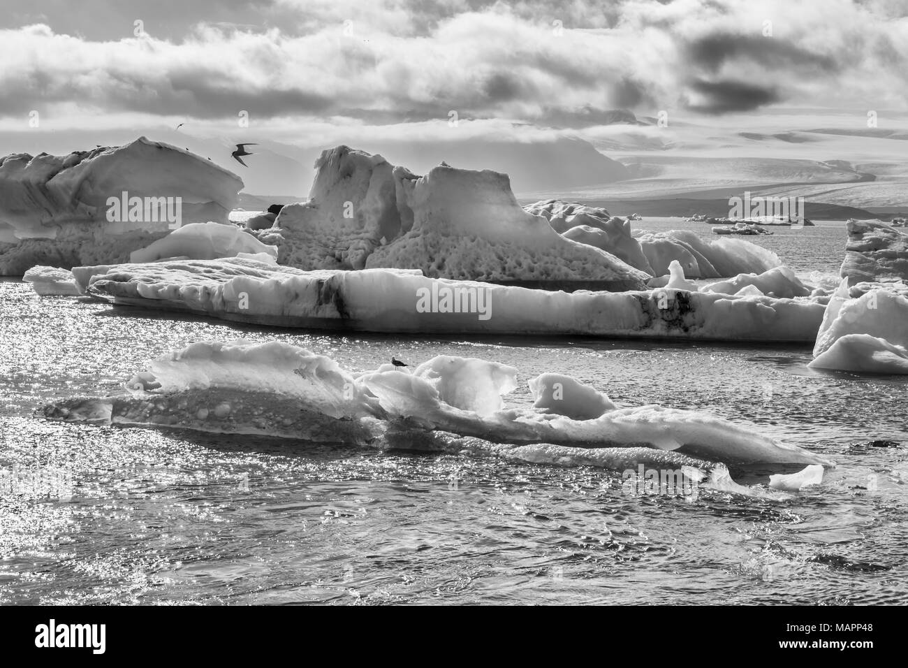 Jokulsarlon laguna glaciale, Islanda Foto Stock