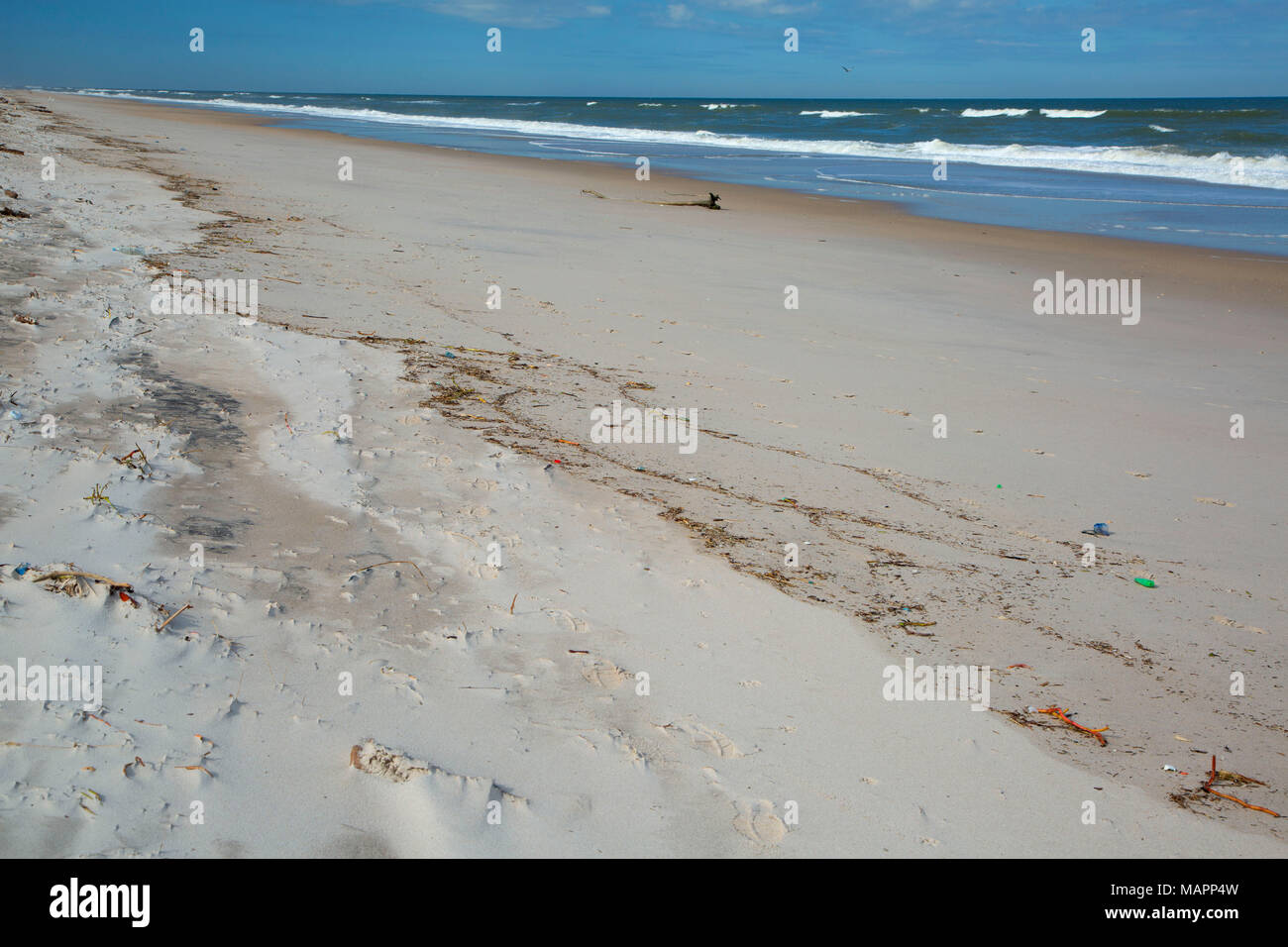 Spiaggia aperta, Canaveral National Seashore, Florida Foto Stock