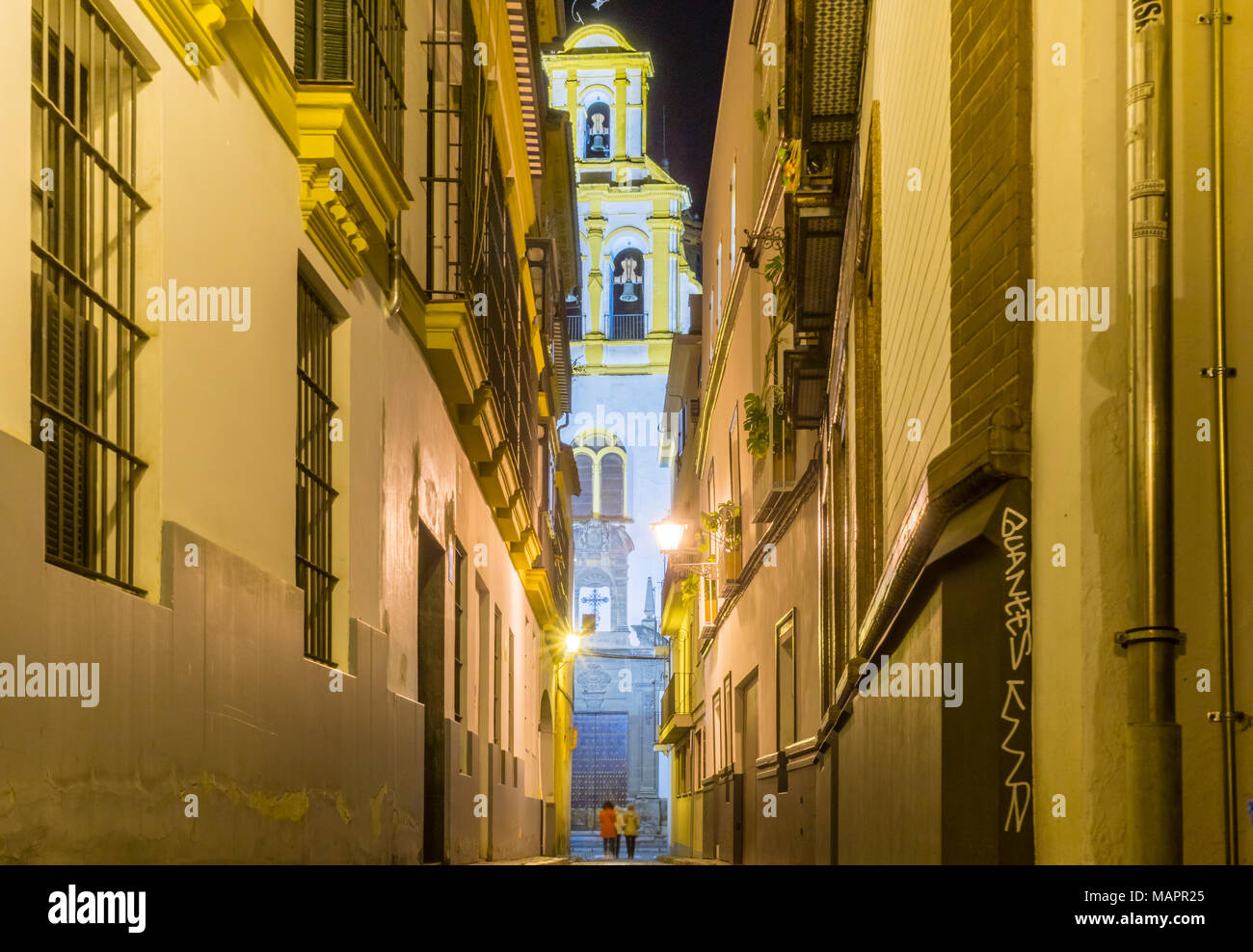 La Iglesia de Santa Cruz (chiesa di Santa Cruz) di notte a Siviglia, in Andalusia, Spagna Foto Stock