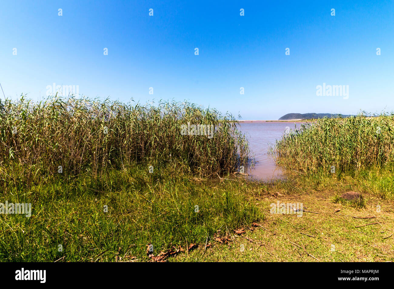 L'acqua, la vegetazione verde e blu cielo paesaggio di St Lucia Estuary in iSimangaliso Wetland Park di Zululand, Sud Africa Foto Stock