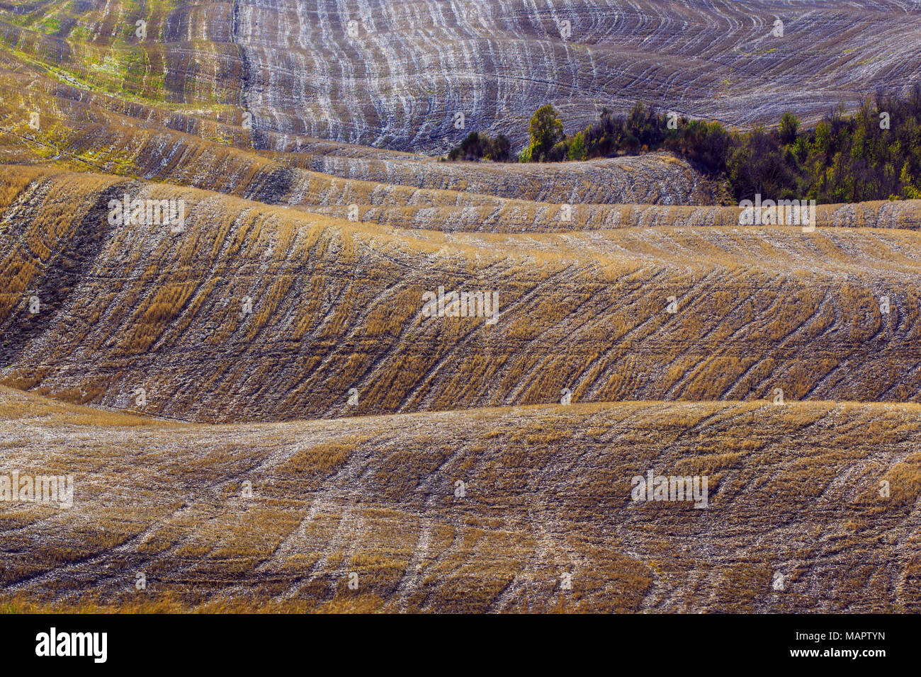 Scoprire la bellezza senza tempo della Val d'Orcia Foto Stock