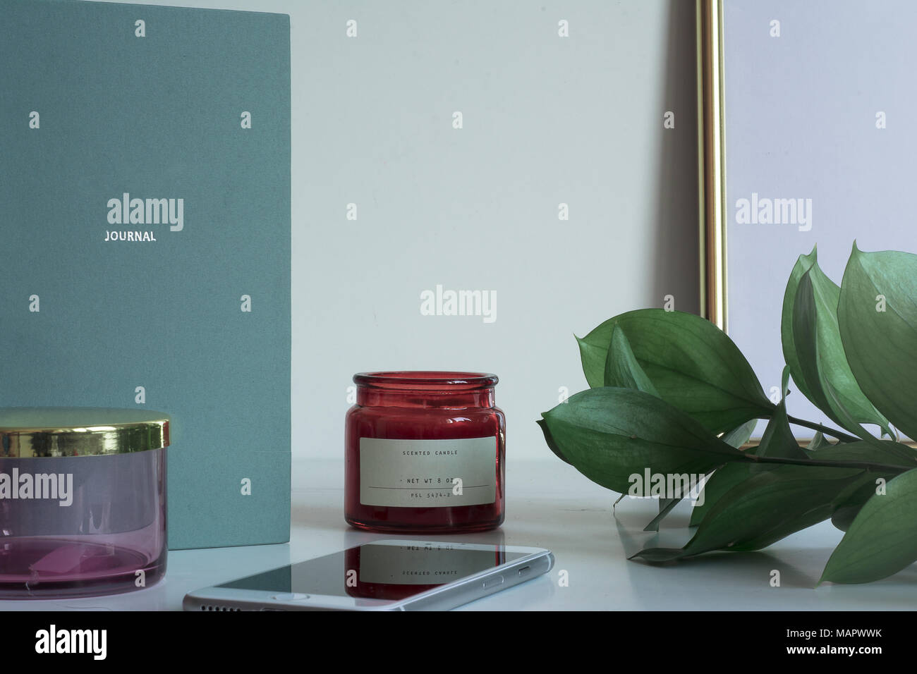 Business Desktop con copia spazio, riquadro rosa, notebook e foglie verdi Foto Stock