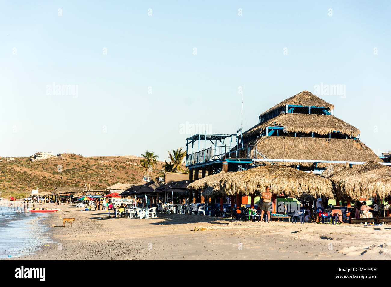 Tecolote Beach è una spiaggia isolata comunità situato nel comune di La Paz nello stato di Baja California Sur, Foto Stock