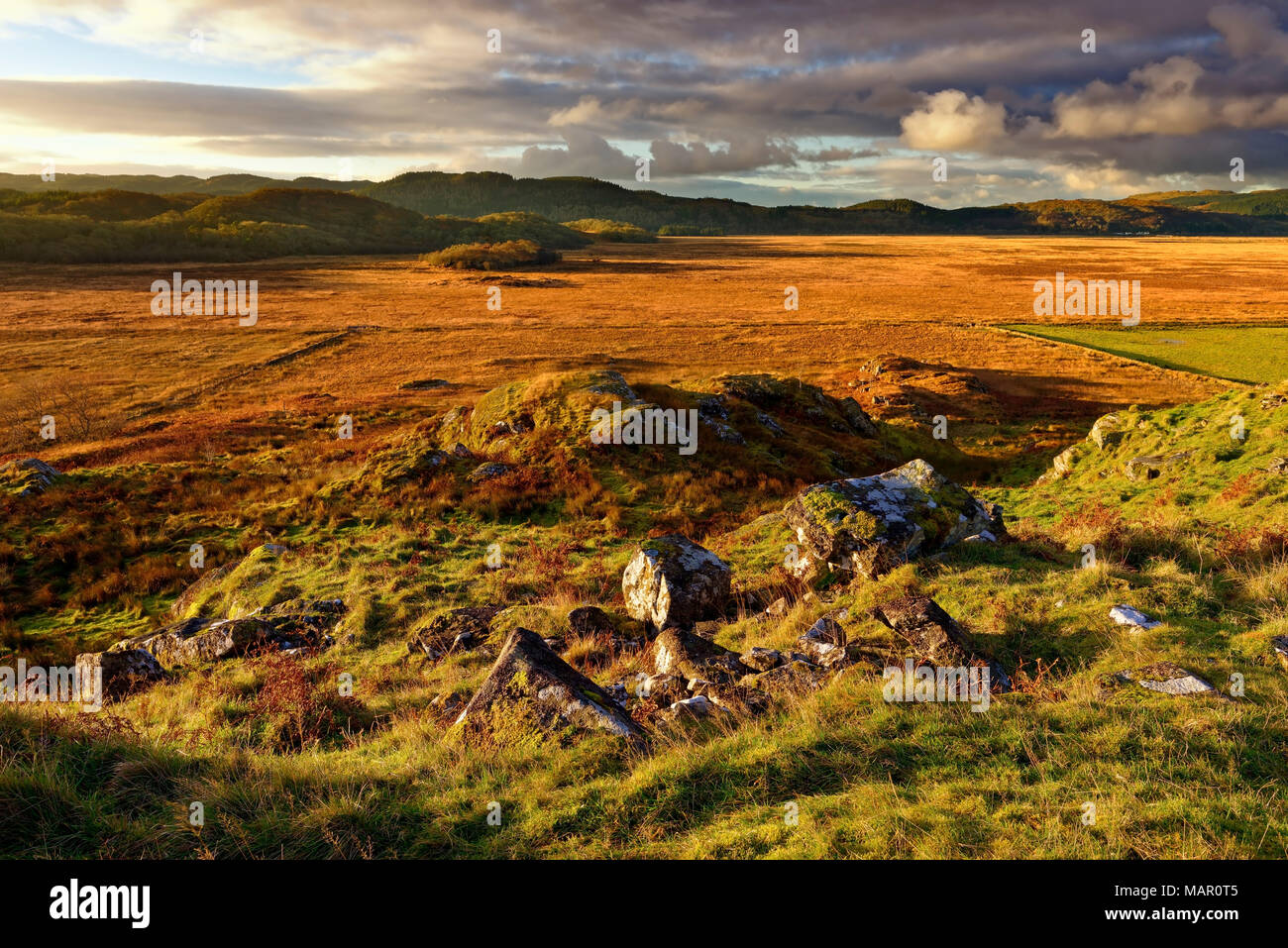 Un inverno vista guardando attraverso Moine Mhor Riserva Naturale da Dunadd Fort nelle Highlands scozzesi, Argyll, Scotland, Regno Unito, Europa Foto Stock