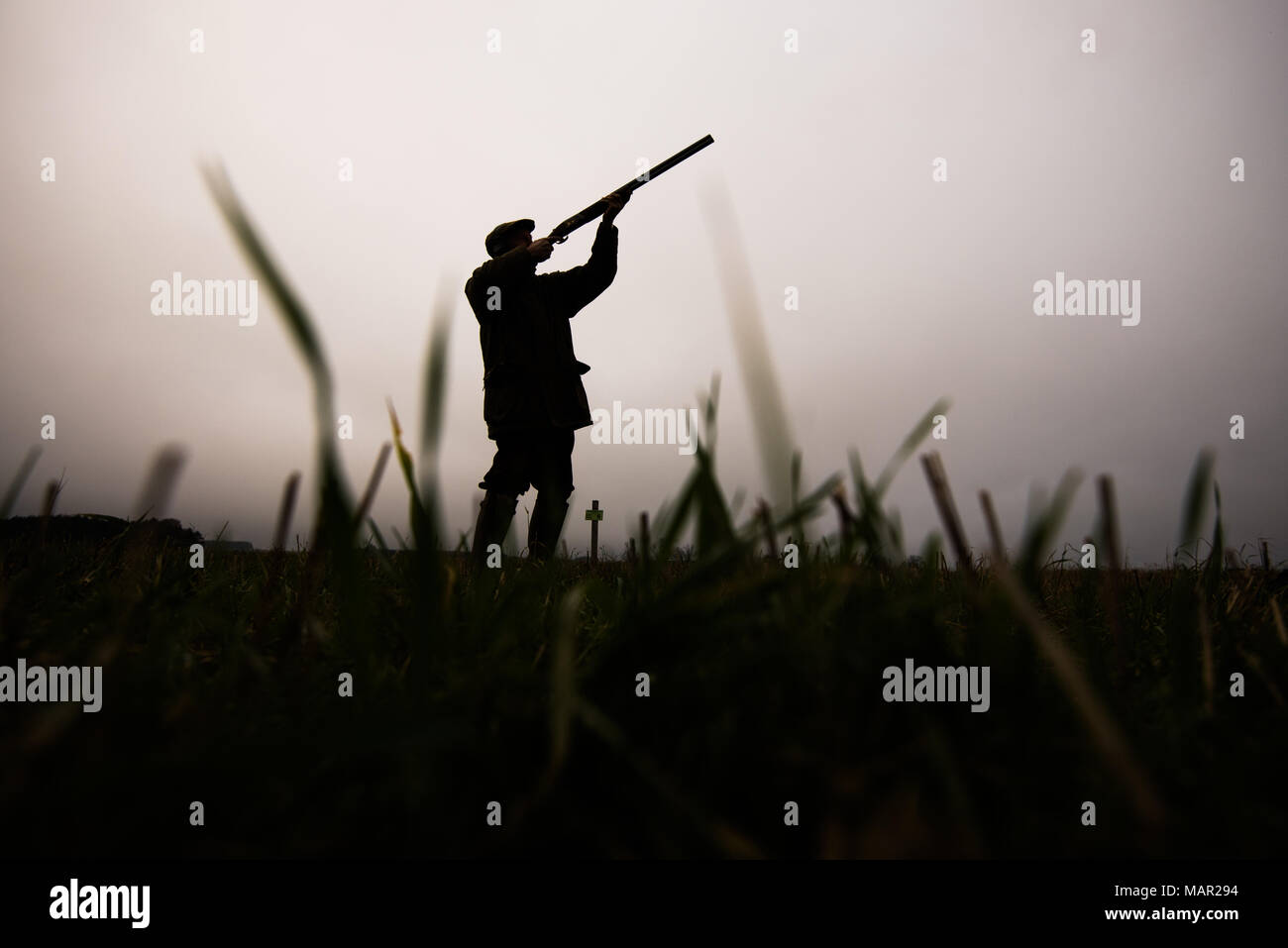 Silhouette di spari su un fagiano shoot, Regno Unito, Europa Foto Stock