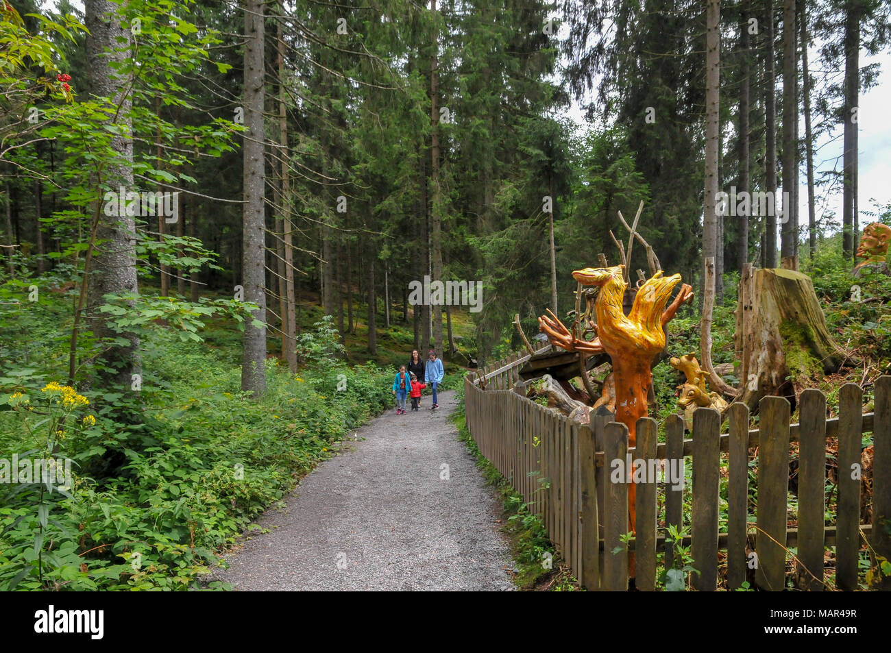 Sculture in legno lungo il sentiero di Schlühuwanapark, Grafenhausen, Parco Statale , Foresta nera, Germania Foto Stock