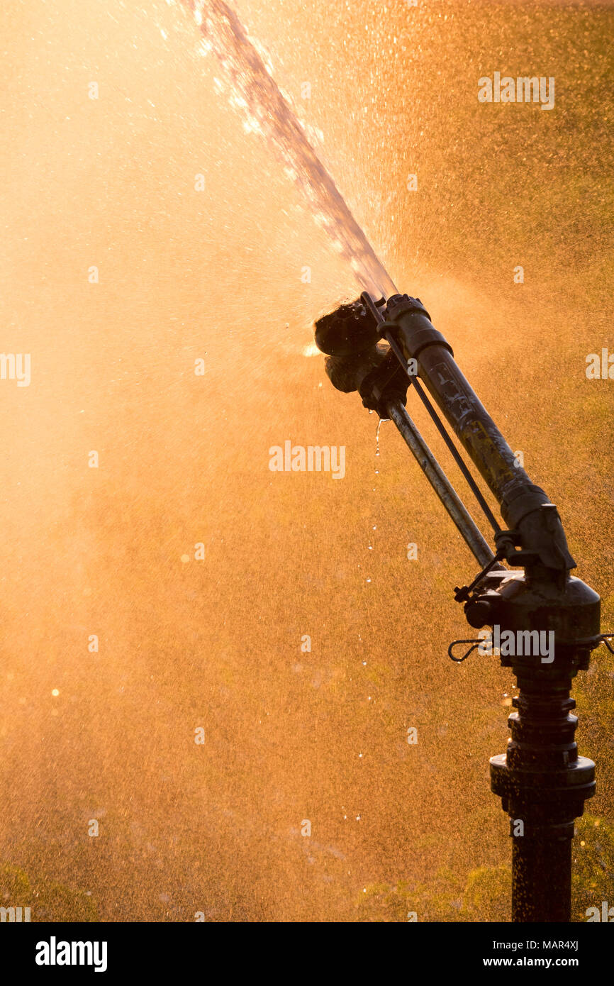 L'acqua degli sprinkler acqua mostrando la retroilluminazione sul terreno coltivato Foto Stock