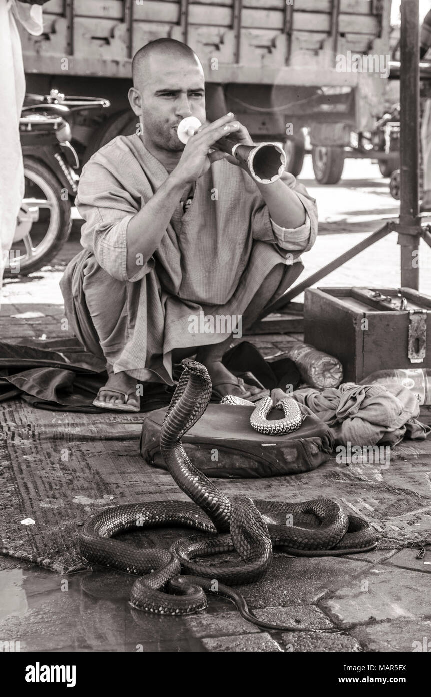 Il serpente incantatore a Marrakech Foto Stock