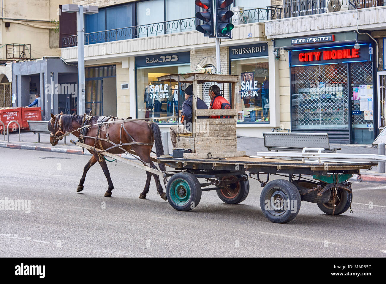 Cavallo e carrello a Haifa, Israele Foto Stock