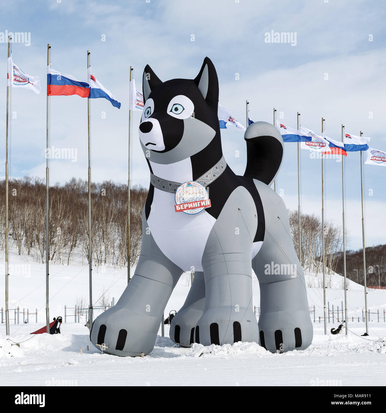 Pneumatico gonfiabile figura di husky sled dog a stadium - simbolo della Kamchatka tradizionale Sled Dog Race Beringia Foto Stock
